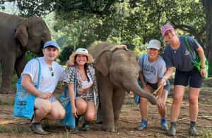 image n.4 of Chiang Mai: Elephant Sanctuary, Waterfall & Bamboo Rafting activity in Chiang Mai, uploaded by supplier