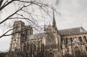 image n.4 of Notre-Dame Tour with Host or AudioGuide + Optional Cruise activity in Paris, uploaded by supplier