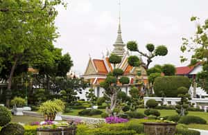 image n.4 of Bangkok: Full Day Private Guided Tour with Hotel Pick & Drop activity in Bangkok, uploaded by supplier