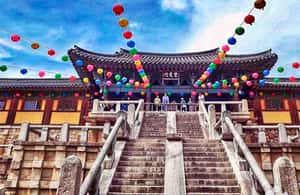 image n.3 of Busan: 7 Highlights Gyeongju City One Day Tour activity in Gyeongju, uploaded by supplier