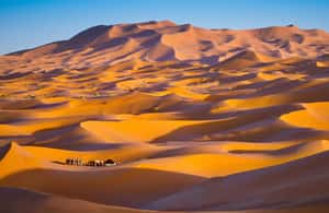 billede nr.3 af aktiviteten Fra Casablanca: 8 dages Chefchaouen, Fes og ørken-eventyr i Rabat, uploadet af udbyder