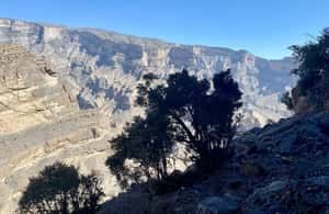 Obraz nr 3 z atrakcji Nizwa: Spacer po balkonie Jebel Shams i przygoda na ferratach w Al Hambra, Oman, przesłany przez organizatora