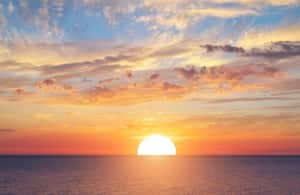 afbeelding n.4 van Pollença: Dolfijnenexcursie per boot activiteit in Pollença, geüpload door aanbieder