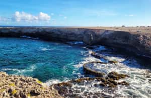 kuva n.3/Bonaire: Yksityinen Washington Slagbaai -puistokierros, lounas sisältyy hintaan aktiviteetista Bonaire, jonka toimittaja on ladannut