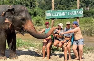 image n.3 of Chiang Mai: Elephant Sanctuary, Waterfall & Bamboo Rafting activity in Chiang Mai, uploaded by supplier