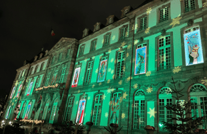 imagem n.4 de Estrasburgo: excursão a pé pelos mercados de Natal com vinho quente atividade em Estrasburgo, carregada pelo fornecedor