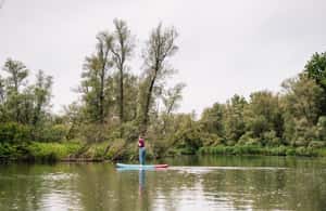 imagen n.º 3 de Biesbosch Alquiler de tablas de SUP actividad en Dordrecht, subida por el proveedor