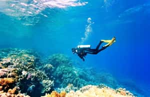 Kemer içindeki Antalya/Kemer: 2 Dalış ve Öğle Yemeği Dahil Scuba Dalış Deneyimi etkinliğinin tedarikçi tarafından yüklenen 3 no'lu görseli