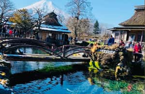 image n.4 of Mt.Fuji Private tour from Tokyo/Yokoham (Customizable) activity in Hakone, uploaded by supplier