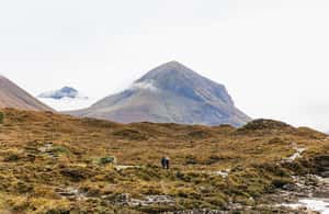 image n.3 of From Inverness: Isle of Skye and Eilean Donan Castle Tour activity in Kyle of Lochalsh, uploaded by supplier