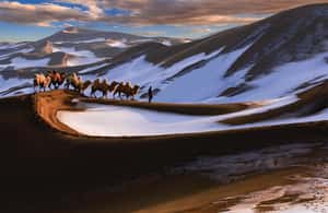 Pramogos teikėjo įkelta pramogos „Iš Urumčio: 7 dienų ekskursija po Šilko kelią su Kašgaro ir Turpano miestu“, Gorno Badachšano autonominė provincija, nuotrauka (3)