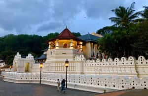 Image N°4 de Au départ de Colombo : visite des sites incontournables de Kandy et de l'orphelinat des éléphants activité à Province de Sabaragamuwa, publiée par le prestataire