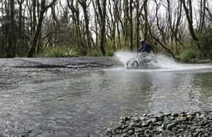 image n.3 of Humboldt: Electric Bike Rentals (4-Hour or Full Day options) activity in California, uploaded by supplier