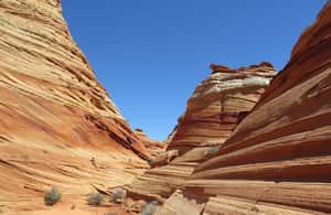 image n.4 of Kanab: South Coyote Buttes Hiking Tour (Permit Required) activity in Arizona, uploaded by supplier