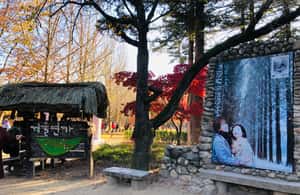 imagen n.º 3 de Seúl: Excursión a la Isla de Nami/Jardín de la Calma Matutina (+Bicicleta de Ferrocarril) actividad en Chuncheon, subida por el proveedor