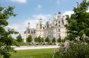 imagem n.4 de Castelos do Vale do Loire: Tour Privado VIP de Paris 3 Castelos atividade em Chambord, carregada pelo fornecedor