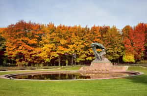 Immagine nº 3 di Tour privato del Parco e del Palazzo Łazienki a Varsavia con biglietti inclusi attività a Varsavia, caricata dal fornitore