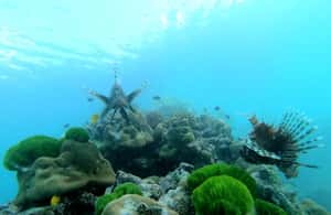 image n.3 of Praslin: Coco Felicite & La Digue Island Full-Day Boat Trip activity in Mahé, uploaded by supplier