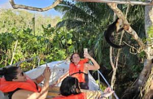 image n.3 of Panama: Monkey Island, Sloth Sanctuary and Panama Canal Tour activity in Colón Province, uploaded by supplier
