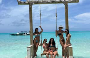 Image N°4 de Nassau : Cochons, plongée en apnée, tortues, déjeuner, club de plage privé activité à New Providence, publiée par le prestataire
