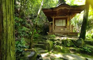 Image N°3 de Hiroshima : parc de la Paix, château et temple Mitaki en vélo électrique activité à Hiroshima, publiée par le prestataire