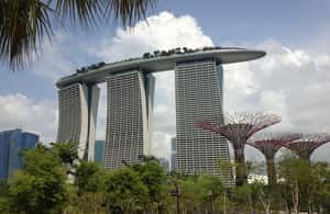 imagen n.º 4 de Singapur Marina Bay Sands & Gardens By The Bay & Traslado actividad en Singapur, subida por el proveedor