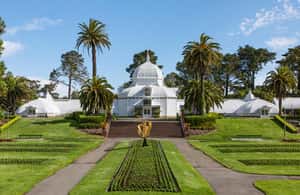 image n.3 of San Fancisco: Golden Gate Park Surrey Rental activity in San Francisco, uploaded by supplier