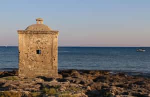Immagine nº 4 di TOUR DELLE GROTTE DI LEUCA CON SKIPPER 3 ORE attività a Lecce, caricata dal fornitore