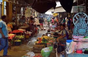 slika br. 3 iz kolekcije Iquitos: Obilazak tržnice Belen i plutajućih kuća aktivnosti u mjestu Iquitos, prenio opskrbni partner