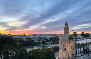 kuva n.4/Sevilla: Paella-kokemus Sangrian ja täyden aterian kera aktiviteetista Sevilla, jonka toimittaja on ladannut