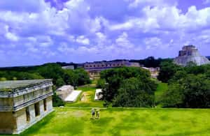 image n.3 of Uxmal: Mayan Archeological Tour, Hacienda visit & Cave Swim activity in Abala, uploaded by supplier