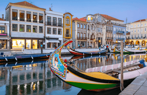 image n.4 of Aveiro City Tour: Private day trip with tickets included. activity in Vista Alegre, uploaded by supplier