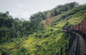 Pramogos teikėjo įkelta pramogos „Ellos dienos ekskursija: su arbatos fabriko lankymu iš Gallės“, Nuwara Eliya, nuotrauka (4)