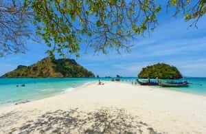 image n.3 of From Krabi: Phi Phi Early Bird & 4 Islands by Speedboat activity in Ao Nang, uploaded by supplier