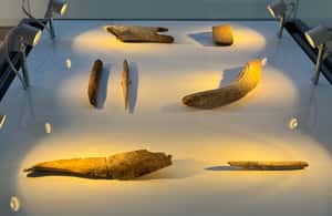 slika br. 3 iz kolekcije Izlet: Altamira Neocave | Santillana del Mar | Comillas aktivnosti u mjestu Santillana del Mar, prenio opskrbni partner