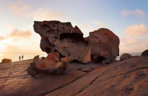 imagen n.º 3 de Penneshaw Excursión panorámica por la Isla Canguro actividad en Australia Meridional, subida por el proveedor