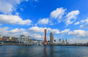 サプライヤーによってアップロードされた、神戸の神戸：プライベートツアー - 大阪/京都への小旅行可能の画像#3