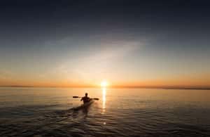 image n.4 of Houston: Kayak and Paddleboard Rental activity in Houston, uploaded by supplier