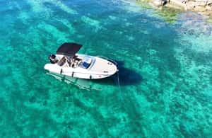 billede nr.3 af aktiviteten Fra Trogir: Privat halvdagstur med speedbåd til Den Blå Lagune i Dalmatien, uploadet af udbyder