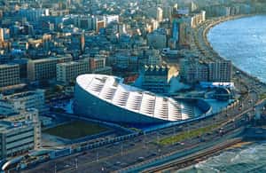 image n.4 of Group Tour top Things To Do In Alexandria From Cairo activity in Alexandria, uploaded by supplier