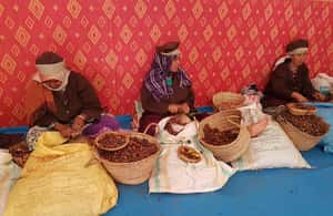 image n.4 of Luxury day trip to Essaouira from Marrakech activity in Marrakesh-Safi, uploaded by supplier