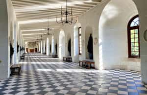 imagem n.4 de Visita aos castelos de Chambord, Chenonceau e Da Vinci a partir de Paris atividade em Chenonceaux, carregada pelo fornecedor