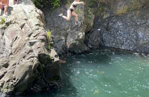 billede nr.4 af aktiviteten El Yunque Rainforest: Vandfald, vandrutsjebaner og reb-sving i Río Grande, Puerto Rico, uploadet af udbyder