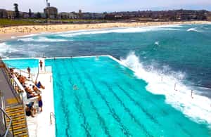 Obraz nr 4 z atrakcji Półdniowa prywatna wycieczka po Sydney: zobacz Operę, Bondi Beach w Sydney, przesłany przez organizatora