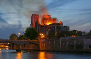 Image N°4 de Paris : visite extérieure de la cathédrale Notre-Dame et entrée sans réservation activité à Paris, publiée par le prestataire