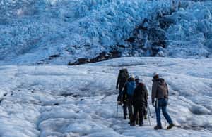 image n.3 of Skaftafell: Extra-Small Group Glacier Hike activity in Northeastern Region, Iceland, uploaded by supplier