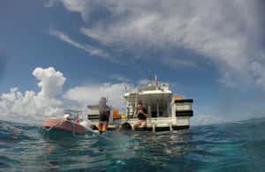 image n.3 of Okinawa : Kerama Whole Day Snorkeling Tour From Chatan activity in Okinawa, uploaded by supplier