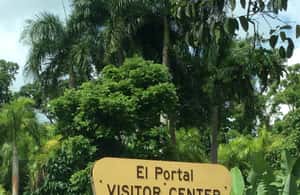 billede nr.3 af aktiviteten San Juan: Guidet tur i El Yunque-regnskoven i Río Grande, Puerto Rico, uploadet af udbyder