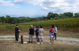 image n.4 of Florence: Tuscany Countryside Guided E-Bike Tour with Lunch activity in Florence, uploaded by supplier