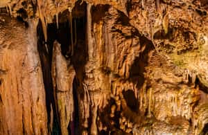 Palma de Mallorca içindeki Palma: Genova Mağaraları Bilet ve Dijital Sesli Rehber etkinliğinin tedarikçi tarafından yüklenen 4 no'lu görseli